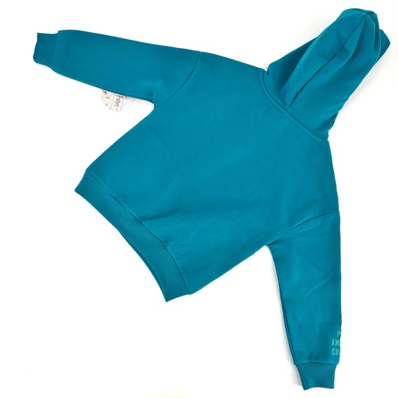 MAD Engine Harry Potter Wizarding World NWT Teal Slytherin Hoodie, Small (6) - Picture 2 of 16